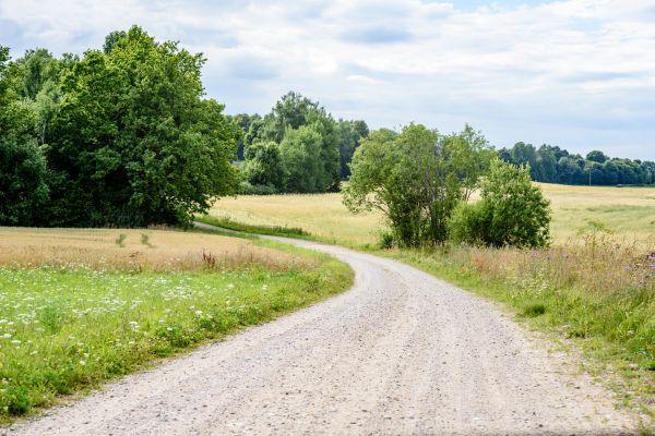 Stone Driveway Repair in Little River