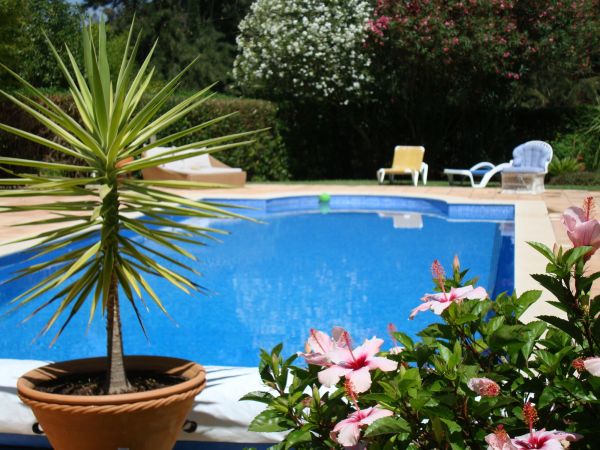 Pool Terrace Renovation in Little River